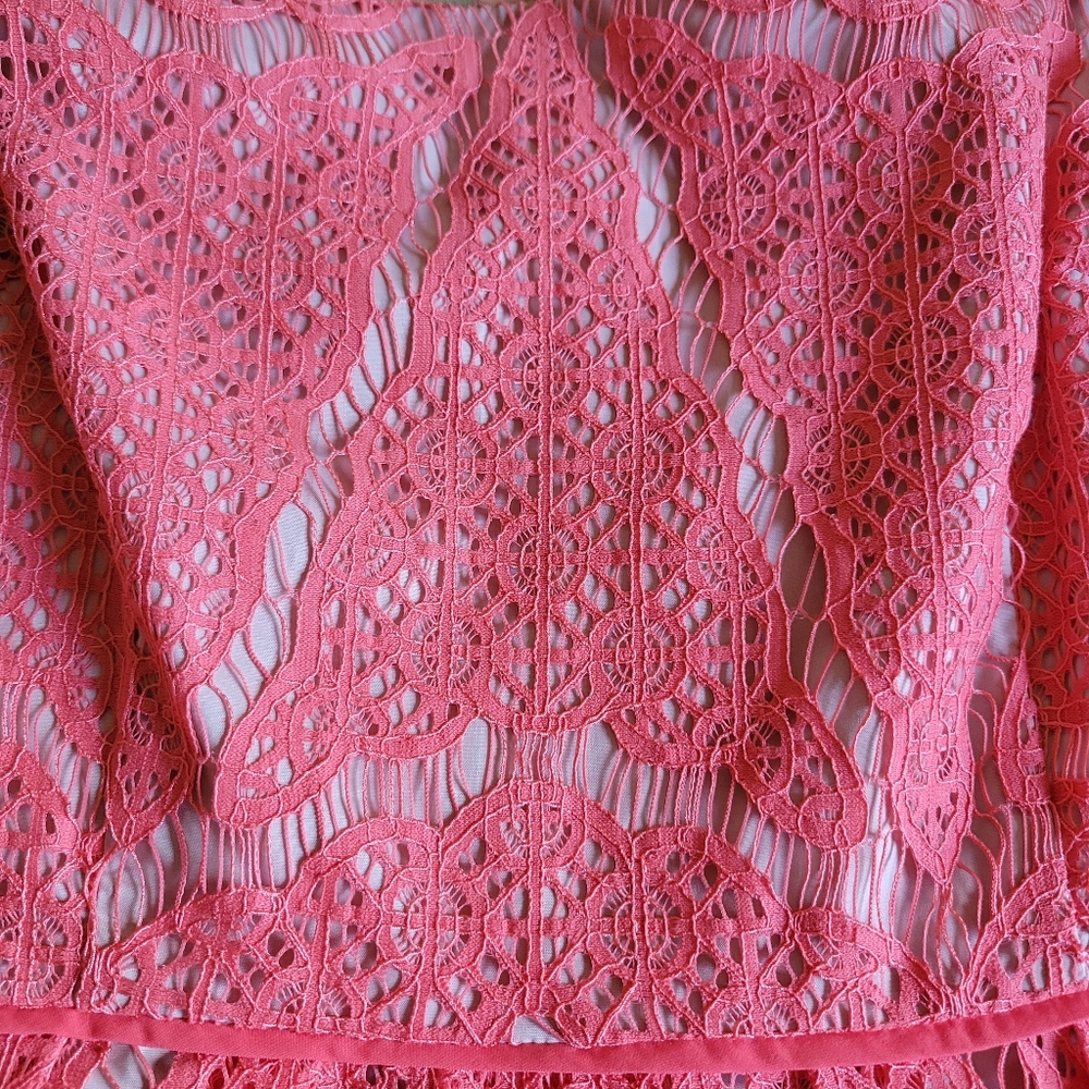 Adrianna Papell Lace Fit and Flare Dress Coral 14 Zipper Sleeveless Spring - Picture 4 of 14